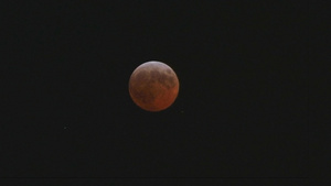 夜晚的红月15秒视频