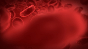 人体里流动的血细胞13秒视频