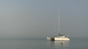 清晨浓雾平静海面停泊的帆船15秒视频