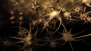 从神经元进入人脑的旅程7秒视频