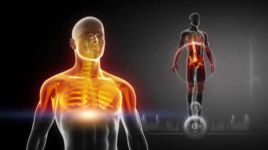 医疗接口与人体x射线扫描在循环视频