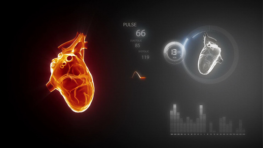 3D心脏动画视频
