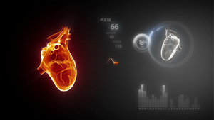 3D心脏动画15秒视频