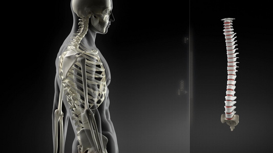 人体脊柱疼痛的诊断背景视频视频