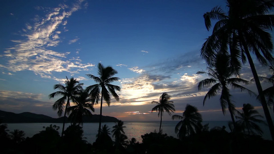 棕榈树日落美景视频