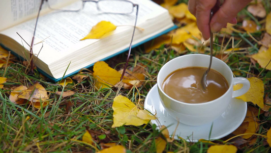 秋天落叶草地上阅读书籍搅拌咖啡视频