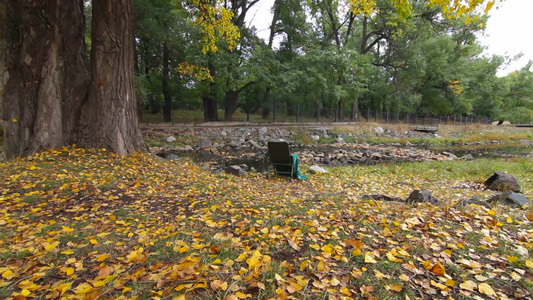 秋天公园里孤独的椅子[椅背]视频