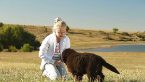 秋天草地上金发小女孩抱着喂食的纽芬兰狗26秒视频