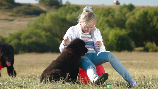 金发小女孩开心地在草地上喂食纽芬兰狗视频