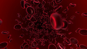 血液细胞流入静脉的循环动画29秒视频