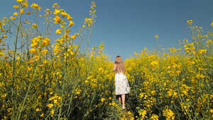 小女孩穿过盛开黄色花朵的田野15秒视频