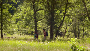 男人和女人在树林里远足时散步26秒视频
