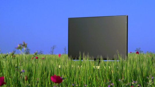 绿色草地上的高清等离子电视视频