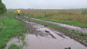 雨天走在田野泥泞的土路上27秒视频