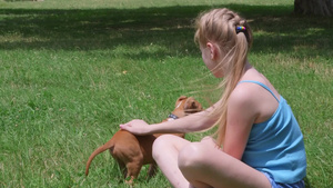 在草地的小女孩和她的小狗狗14秒视频