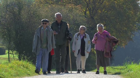 一起散步的老年人视频