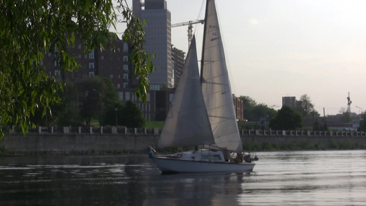 城市海面上行驶的帆船视频