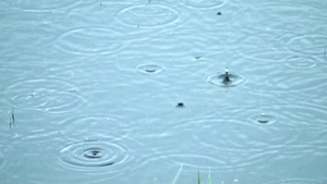 湖面上的雨滴11秒视频