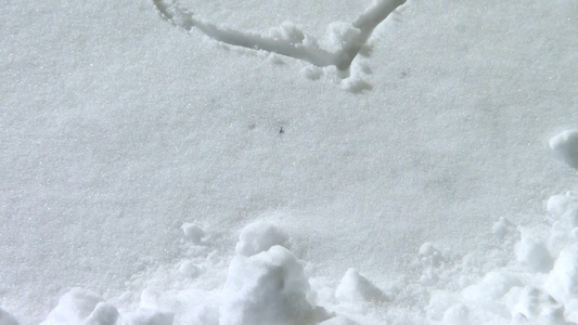 雪地上的爱心视频