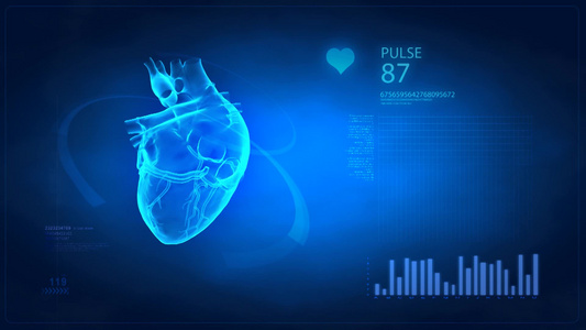 旋转真实的人类心脏与脉搏痕迹视频