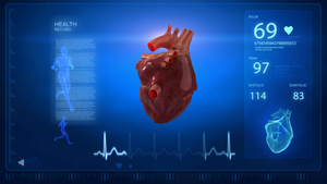 旋转真实的人类心脏与脉搏痕迹9秒视频