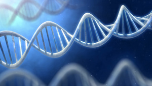 旋转的DNA动画10秒视频