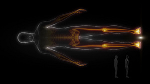 人体扫面图像15秒视频