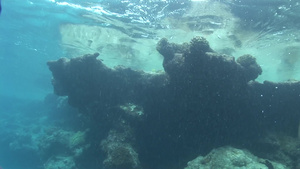 海底珊瑚暗礁游鱼26秒视频