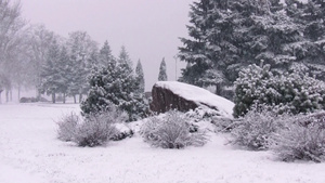 户外下着暴雪16秒视频