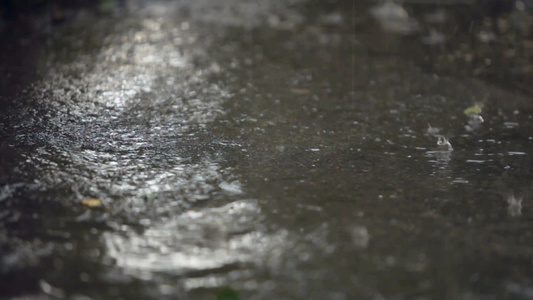 城市街道上的暴风雨天气视频