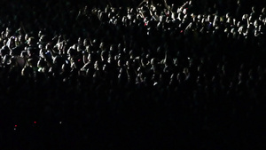 音乐会上的聚光灯与观众欢呼15秒视频