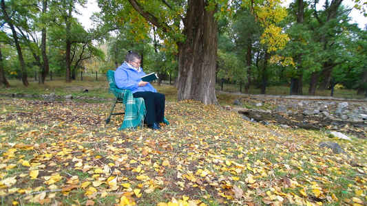 秋天坐在树下看书的妇女视频
