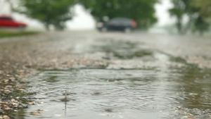 下雨中路上的小水坑特写20秒视频