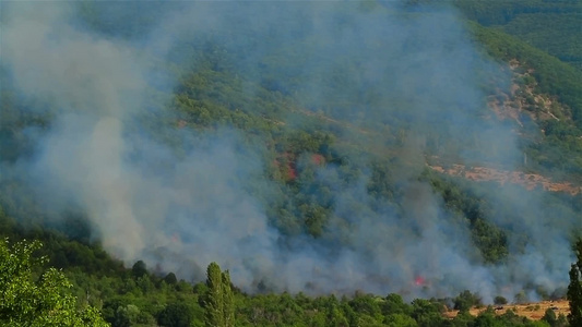 山林大火的烟雾视频