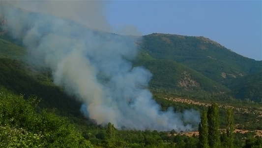 森林大火燃起的浓烟视频