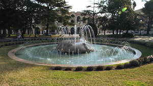 维罗纳剧场旁的喷泉10秒视频