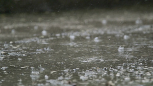 雨滴溅在街上22秒视频