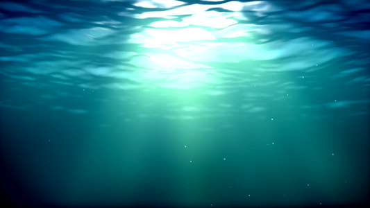 水下的海洋视频