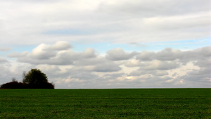 在绿色的田野上空漂浮着朵朵白云14秒视频