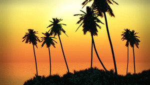 热带岛屿棕榈日落风光20秒视频