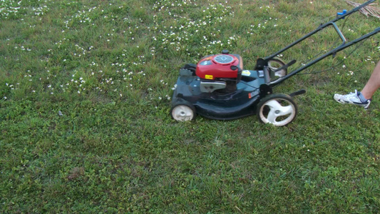 割草机修剪草坪视频