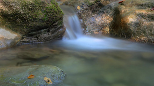 岩石缝的流水9秒视频