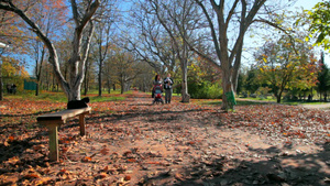 秋天夫妇带着孩子公园散步游玩17秒视频