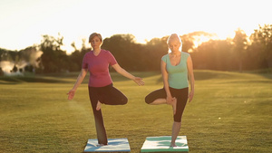 日出公园草坪女性瑜伽有氧运动16秒视频