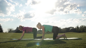 两名女人在公园草坪上练习瑜伽25秒视频