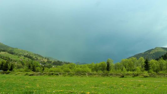喀尔巴阡山草地雨后盛开视频