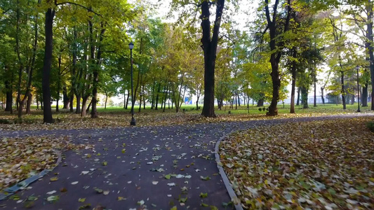 秋季的城市公园[小游园]视频