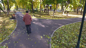 独自在公园散步的老人24秒视频