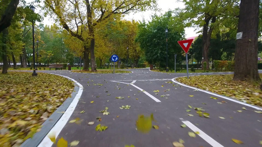 城市公园秋天落叶[小游园]视频