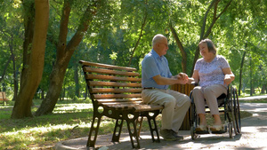 夏天公园里丈夫在照顾坐轮椅的妻子29秒视频